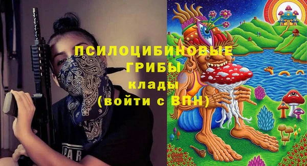 PSILOCYBIN Волоколамск